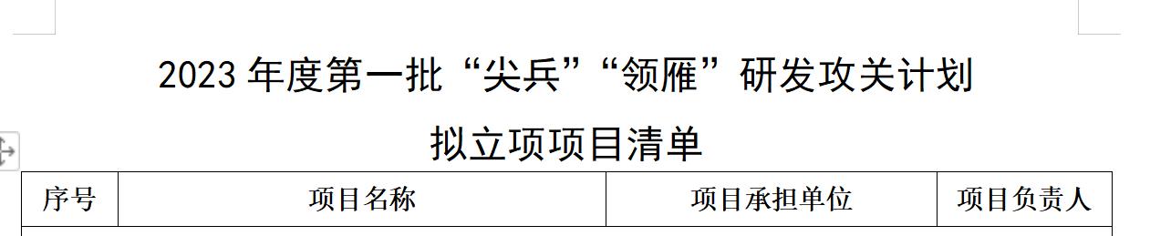 公示項(xiàng)目標(biāo)頭.jpg